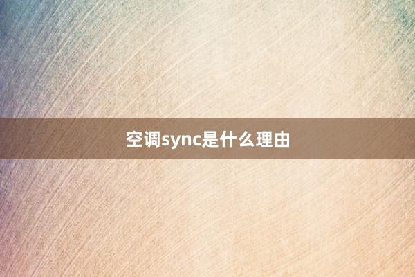 空调sync是什么理由